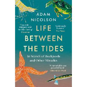Life Between the Tides (ISBN: 9780008294816)