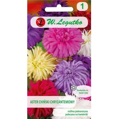 W. Legutko Китайска астра и хризантема микс
