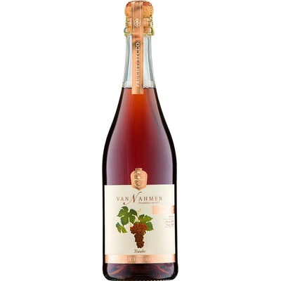 Van Nahmen Fruit-Secco hroznové Bio 0,75 l (holá lahev)