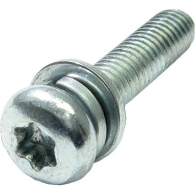Šroub alternátoru AS-PL ARS0014 (BULK)