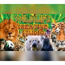 Wildlife Creative Studio