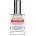 THE LIBRARY OF FRAGRANCE Chipotle Pepper EDC 30 ml