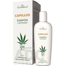 Cannaderm Capillus šampón s kofeínom proti vypadávaniu vlasov 150 ml