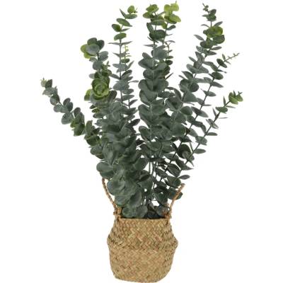 Umělý eukalyptus v proutěném košíku 50 cm – zelený, H&L