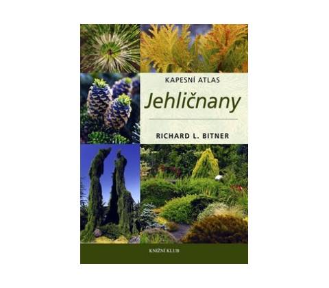 Jehličnany