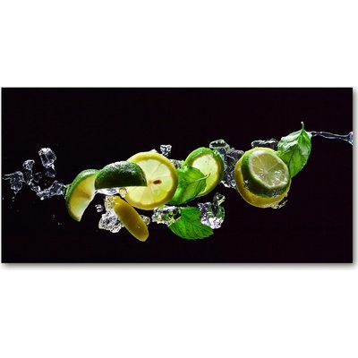 Foto obraz sklo tvrzené mochito 100x50 cm