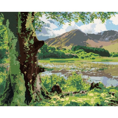 zuty Malování Podle Čísel Příroda A Hory Irsko Ted Davis 40 x 50 Cm Plátno Rám