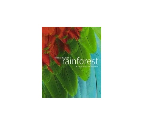 Rainforest