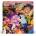 Ravensburger Puzzle 750 Art&Soul Birds