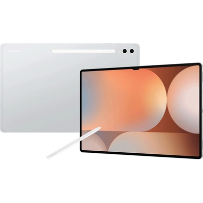 Samsung Galaxy Tab S10 Ultra 256GB SM-X920NZSR