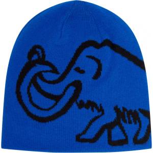Mammut Зимна шапка (beanie) Mammut Mammut Logo Beanie Reversible Beanie - Eiger Blue / Black - размер One Size (904-6875-0411)