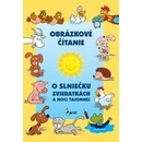 Obrázkové čítanie o slniečku zvieratkách a noci tajomnej - Alena Schejbalová