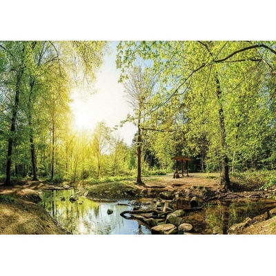 Postershop Obraz na plátně: Lesní potok (3) - 75x100 cm