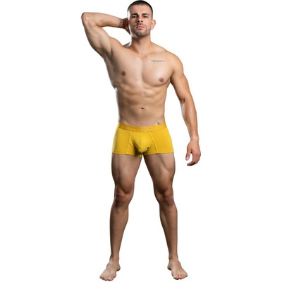Andrew Christian Pánské boxerky žluté CoolFlex Modal SHOW-IT – Hledejceny.cz