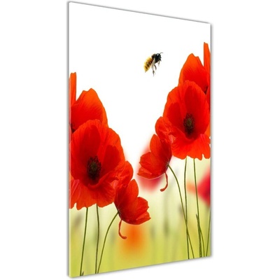 Vertikálny foto obraz sklenený Polné maky 50x100 cm