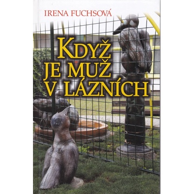 Když je muž v lázních