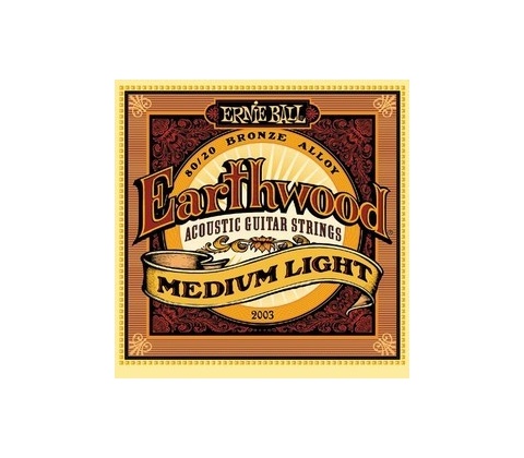 Ernie Ball 2003