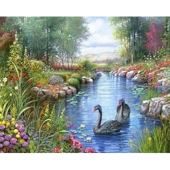 Image 1 of Черни лебеди 48/58 см