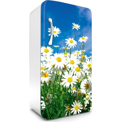 Dimex FR120-011 Samolepící fototapeta na lednice Daisies rozměry 65 x 120 cm