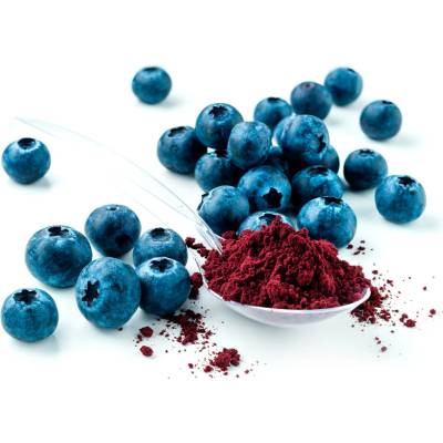 Les fruits du Paradis Čučoriedkový prášok BIO lyofilizovaný 500 g