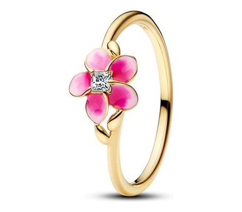 Pandora 163844C01