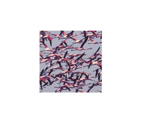 DEFTONES: GORE LP