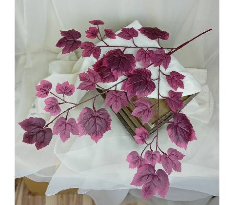 List viniča - halúzka