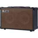 Joyo AC-40