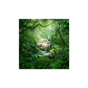 WEEZER - SZNZ: SPRING CD