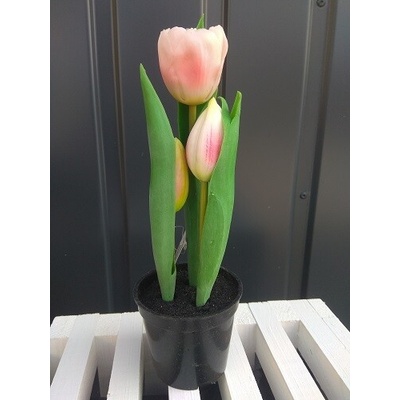 Topgifts Tulipány v kvetináči CV10553-3 23cm