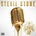 Level Up - Stevie Stone CD