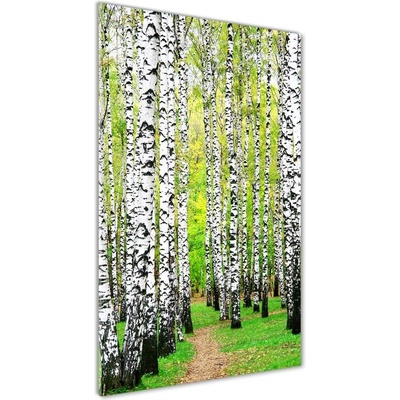 Vertikálny foto obraz sklo tvrdené Brezový les 50x100 cm