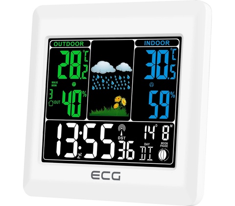 ECG MS 300