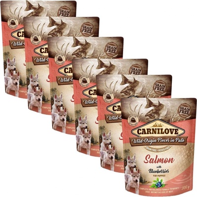 Carnilove Puppy salmon & blueberries 6 x 300 g