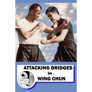 Attacking bridges in Wing Chun | Semyon Neskorodev