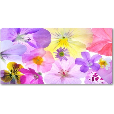 Fotoobraz na skle fialky 100x50 cm
