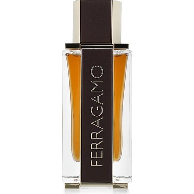 Ferragamo Ferragamo Spicy Leat parfumovaná voda unisex 100 ml