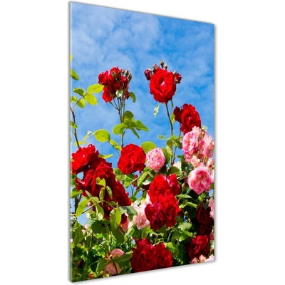 Vertikálny foto obraz sklenený Divoká ruža 50x100 cm