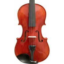 Petz violin set GT20VN