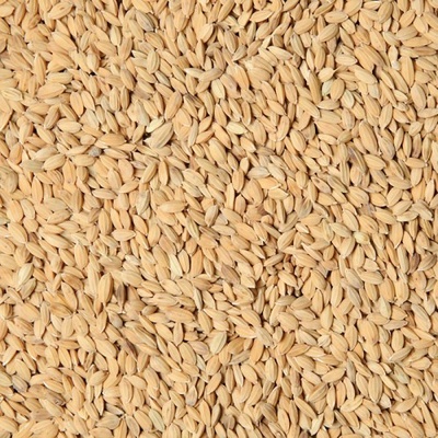Fauna Hradil Paddy rýže 5 kg