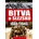 Bitva o Slezsko