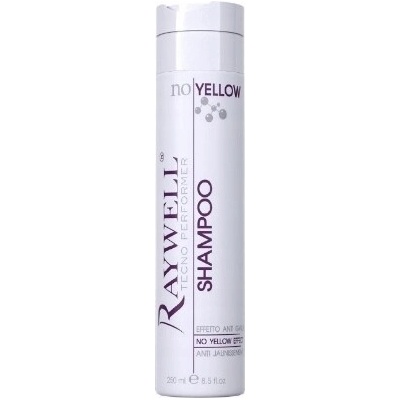 Raywell šampon ochrana barvy 250 ml