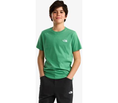 The North Face Evolution Simple Dome dimmed algae