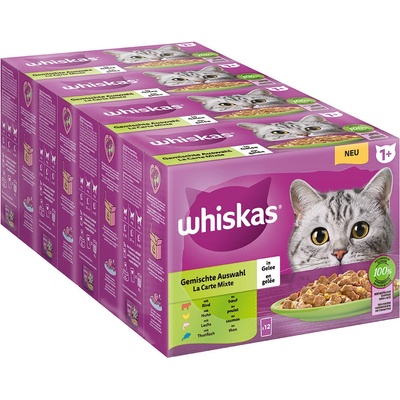 Whiskas 1+ Adult miešaný výber v želé 144 x 85 g