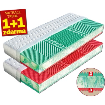 Dřevočal Ema