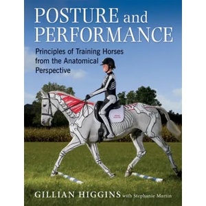 Posture and Performance | Gillian Higgins (ISBN: 9781910016008)