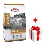 ARION Grain Free Adult Salmon & Potato 12 kg