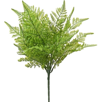 ZÁPICH PAPRAĎ ZELEŇ ZELENÁ 47CM