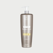 Hair Company Inimitable Style Density shampoo 1000 ml