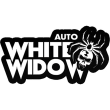 Fastbuds Original Auto White Widow semena neobsahují THC 1 ks
